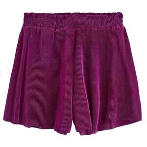 Zara High Waisted Pleated Shorts